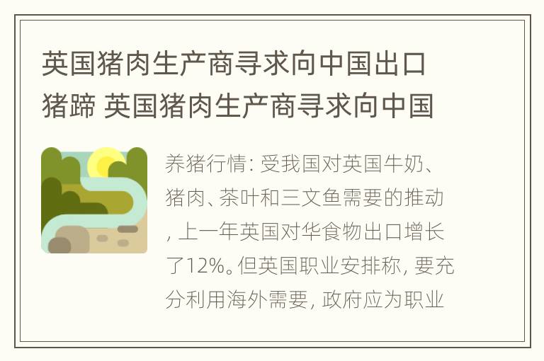 英国猪肉生产商寻求向中国出口猪蹄 英国猪肉生产商寻求向中国出口猪蹄