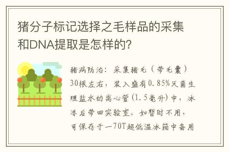 猪分子标记选择之毛样品的采集和DNA提取是怎样的？