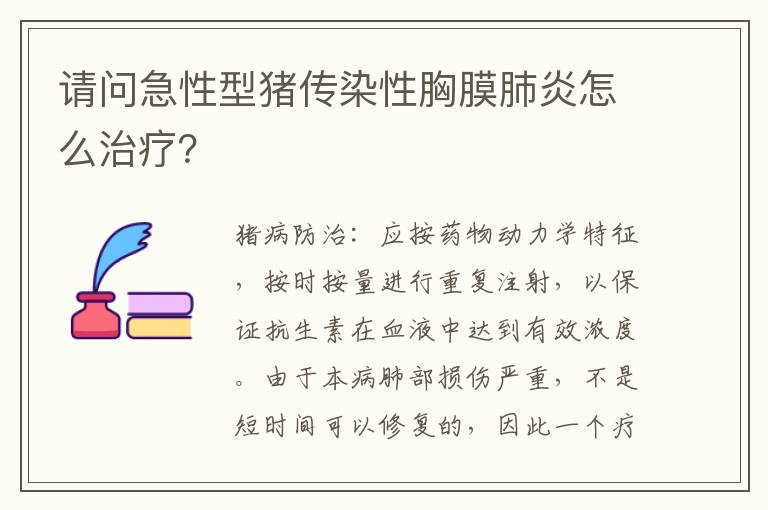 请问急性型猪传染性胸膜肺炎怎么治疗？