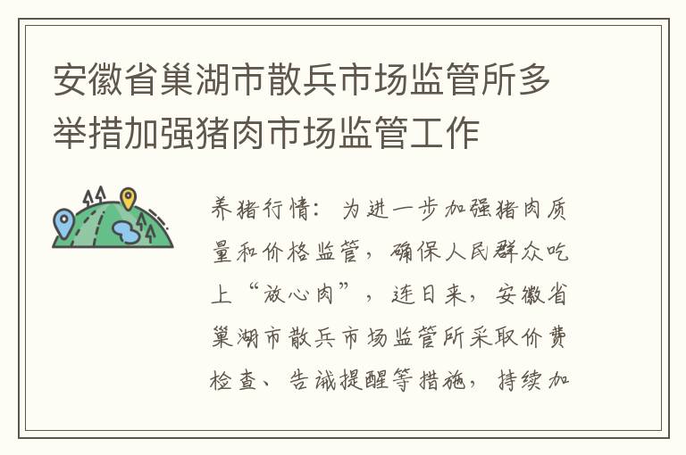 安徽省巢湖市散兵市场监管所多举措加强猪肉市场监管工作