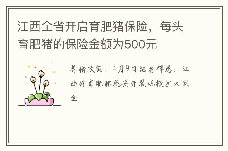 江西全省开启育肥猪保险，每头育肥猪的保险金额为500元