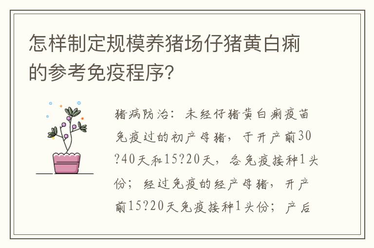 怎样制定规模养猪场仔猪黄白痢的参考免疫程序？