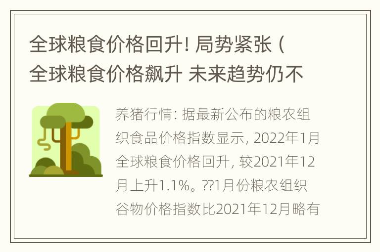 全球粮食价格回升！局势紧张（全球粮食价格飙升 未来趋势仍不乐观）