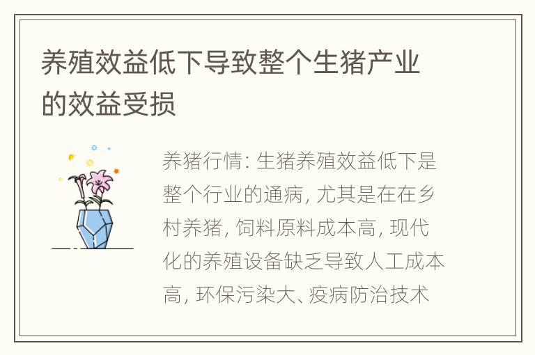 养殖效益低下导致整个生猪产业的效益受损