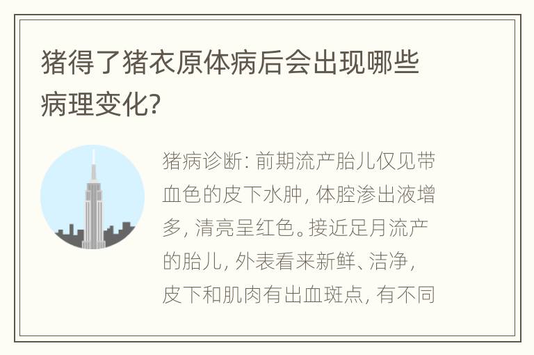 猪得了猪衣原体病后会出现哪些病理变化？