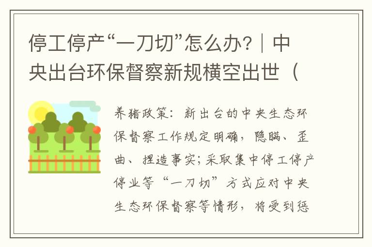 停工停产“一刀切”怎么办?│中央出台环保督察新规横空出世（附