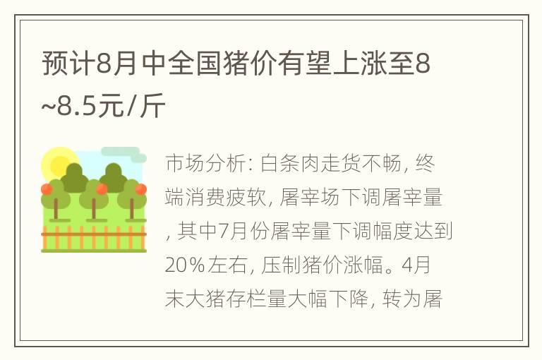 预计8月中全国猪价有望上涨至8~8.5元/斤