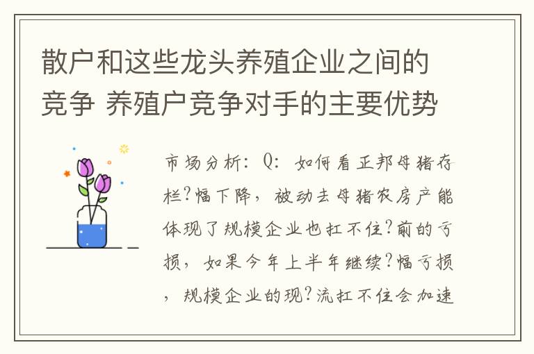 散户和这些龙头养殖企业之间的竞争 养殖户竞争对手的主要优势