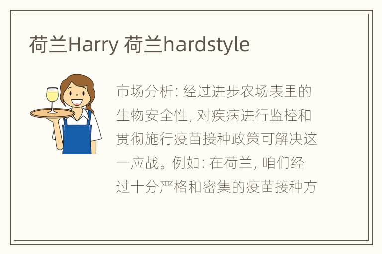 荷兰Harry 荷兰hardstyle