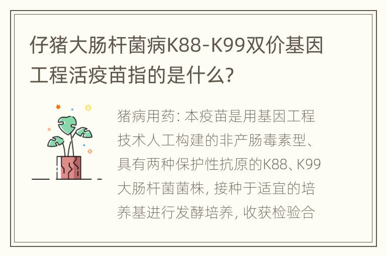 仔猪大肠杆菌病K88-K99双价基因工程活疫苗指的是什么？