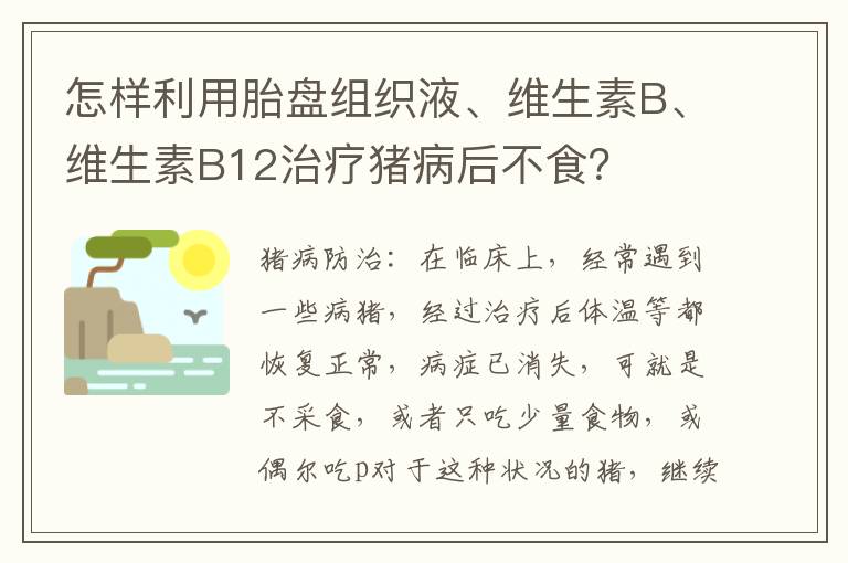 怎样利用胎盘组织液、维生素B、维生素B12治疗猪病后不食？