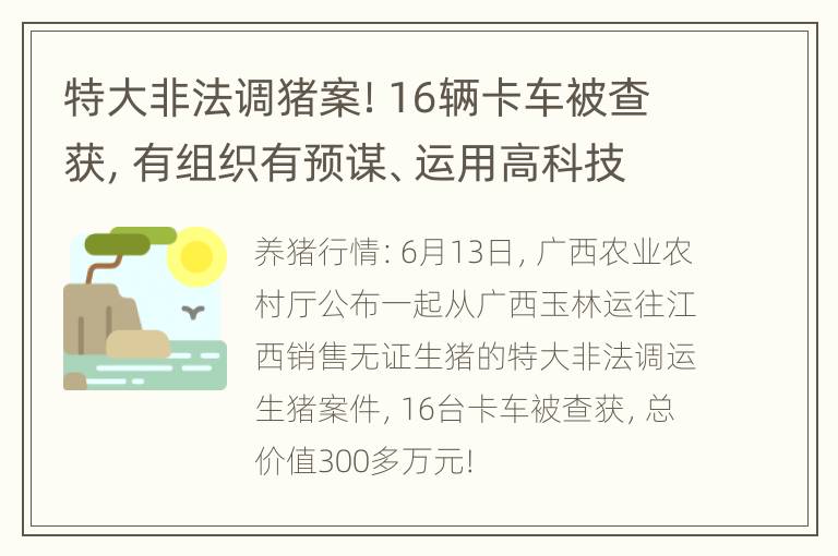 特大非法调猪案！16辆卡车被查获，有组织有预谋、运用高科技偷运