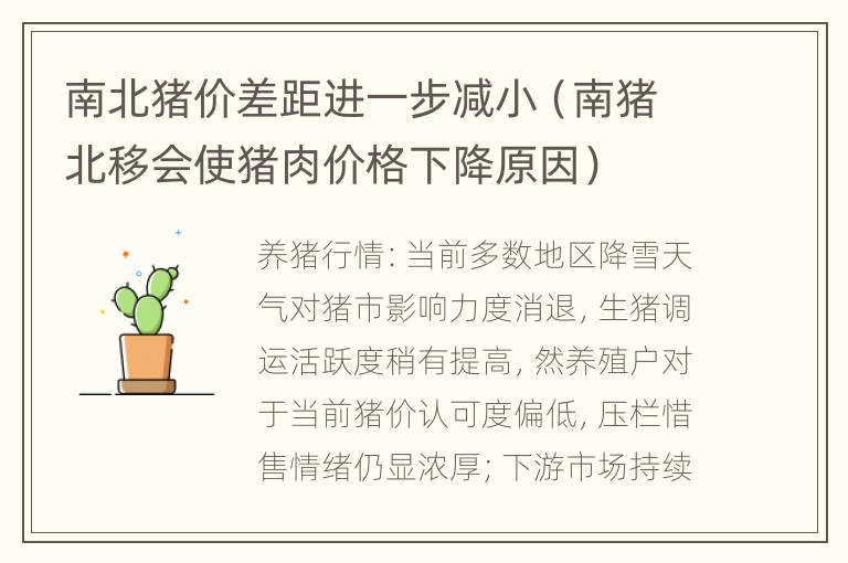 南北猪价差距进一步减小（南猪北移会使猪肉价格下降原因）