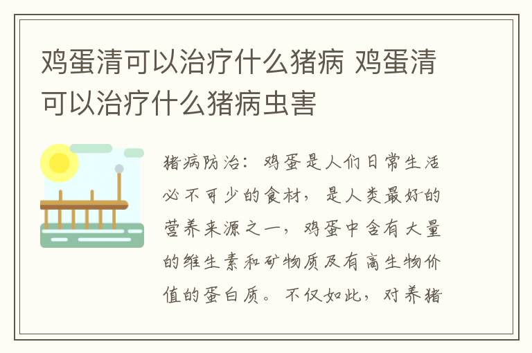 鸡蛋清可以治疗什么猪病 鸡蛋清可以治疗什么猪病虫害