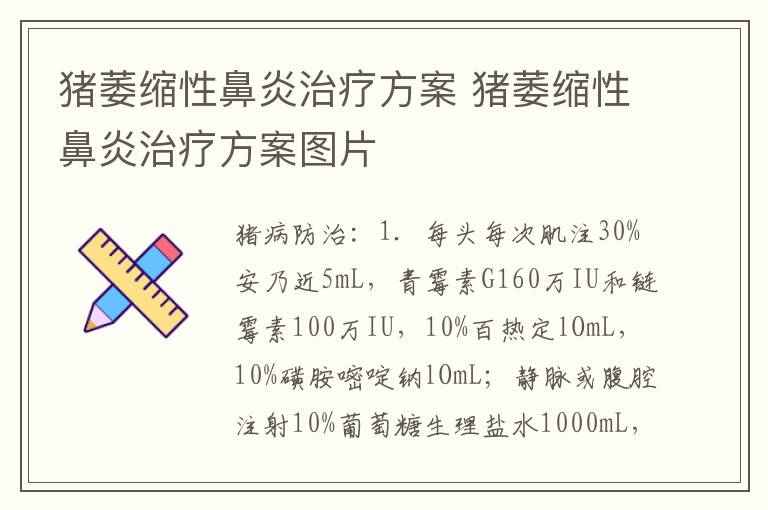 猪萎缩性鼻炎治疗方案 猪萎缩性鼻炎治疗方案图片