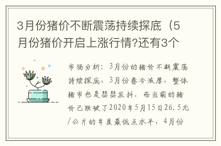 3月份猪价不断震荡持续探底（5月份猪价开启上涨行情?还有3个坑摆在面前!）