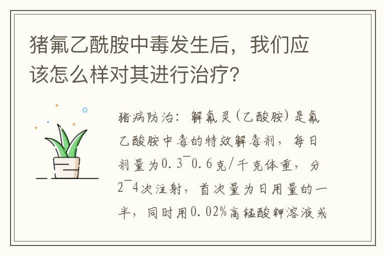 猪氟乙酰胺中毒发生后，我们应该怎么样对其进行治疗？