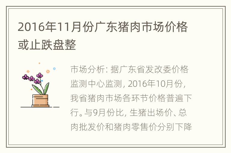 2016年11月份广东猪肉市场价格或止跌盘整