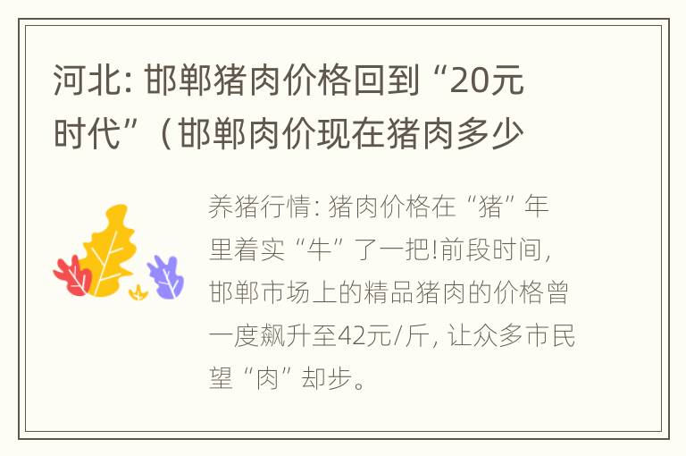 河北：邯郸猪肉价格回到“20元时代”（邯郸肉价现在猪肉多少钱一斤）