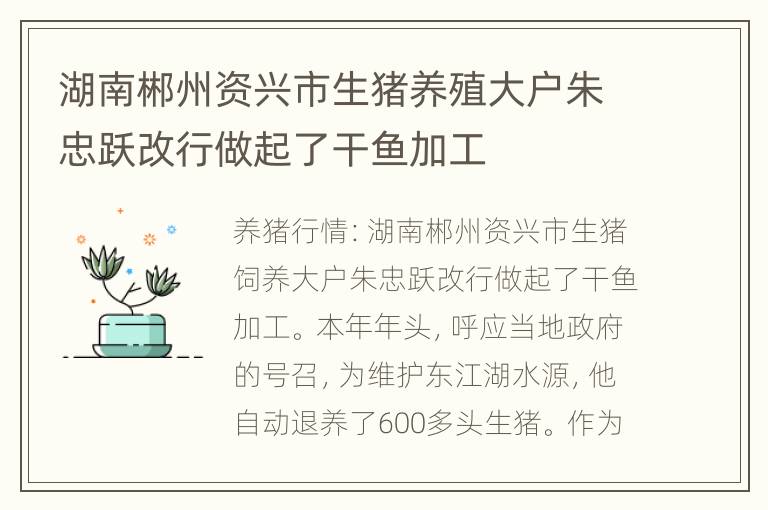 湖南郴州资兴市生猪养殖大户朱忠跃改行做起了干鱼加工