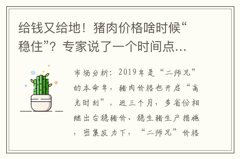 给钱又给地！猪肉价格啥时候“稳住”？专家说了一个时间点……