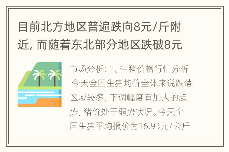 目前北方地区普遍跌向8元/斤附近，而随着东北部分地区跌破8元/斤