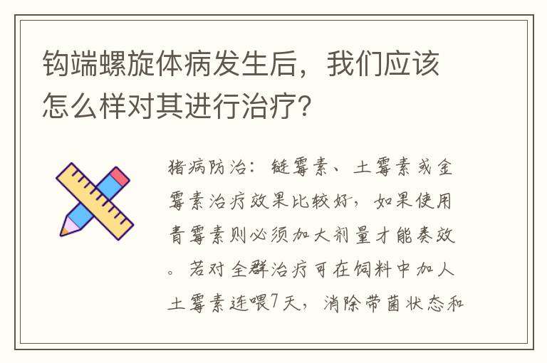 钩端螺旋体病发生后，我们应该怎么样对其进行治疗？