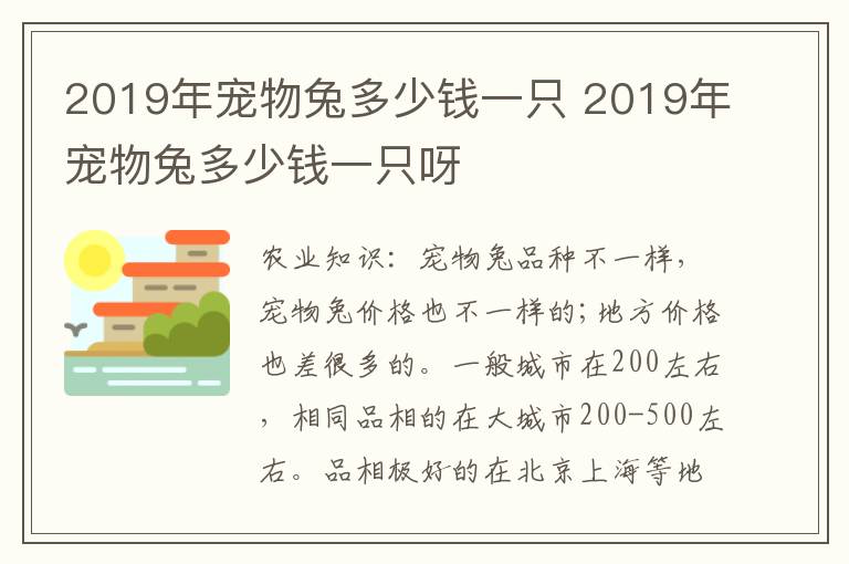 2019年宠物兔多少钱一只 2019年宠物兔多少钱一只呀