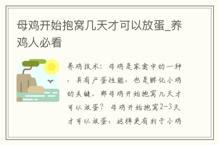 母鸡开始抱窝几天才可以放蛋_养鸡人必看