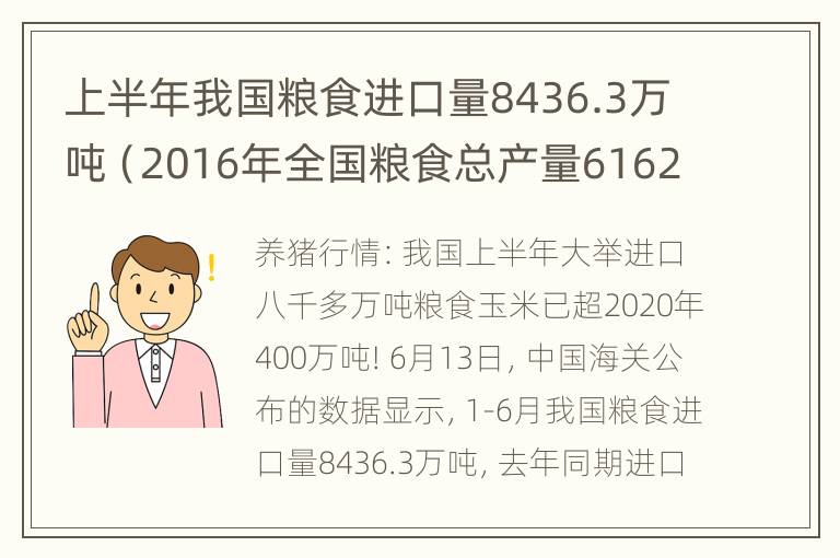 上半年我国粮食进口量8436.3万吨（2016年全国粮食总产量61624万吨）