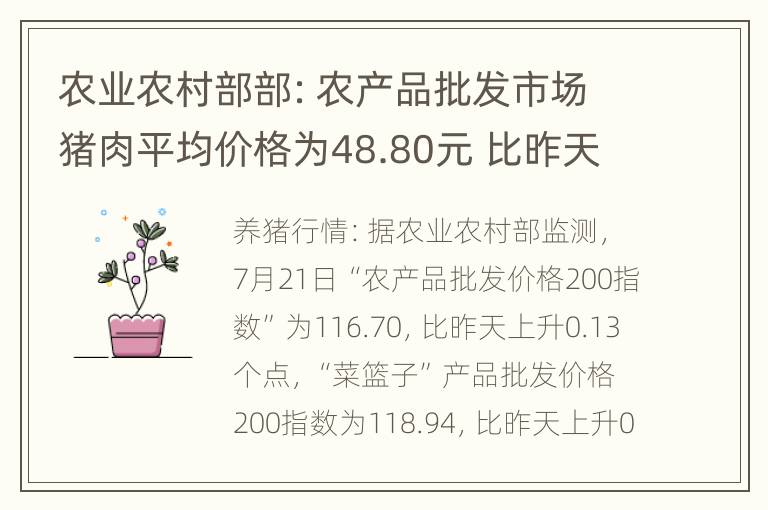 农业农村部部：农产品批发市场猪肉平均价格为48.80元 比昨天下降