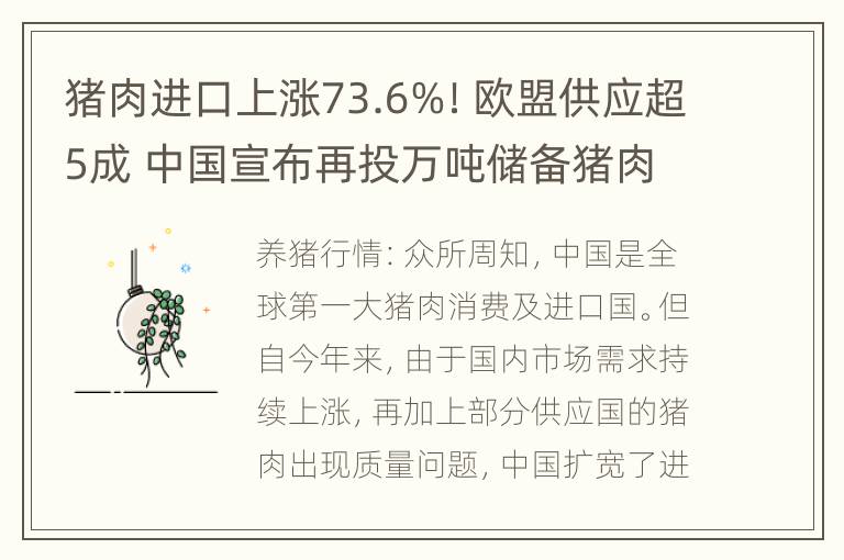 猪肉进口上涨73.6%！欧盟供应超5成 中国宣布再投万吨储备猪肉