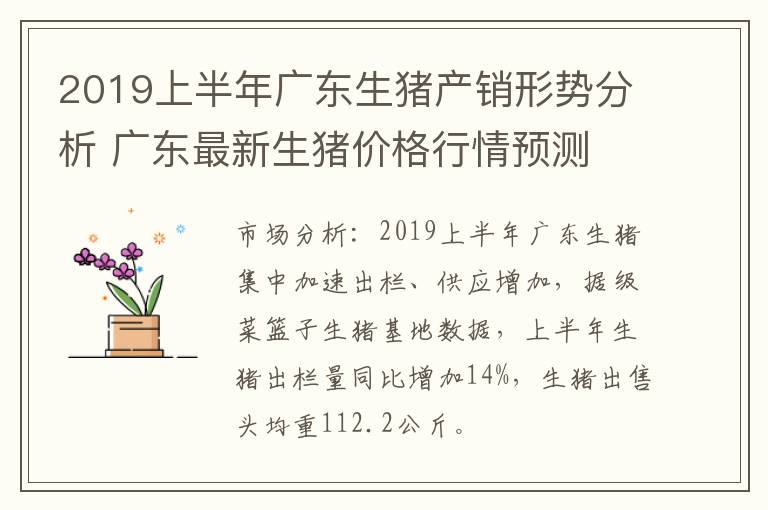 2019上半年广东生猪产销形势分析 广东最新生猪价格行情预测