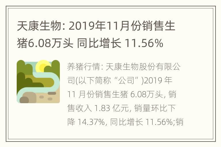 天康生物：2019年11月份销售生猪6.08万头 同比增长 11.56%