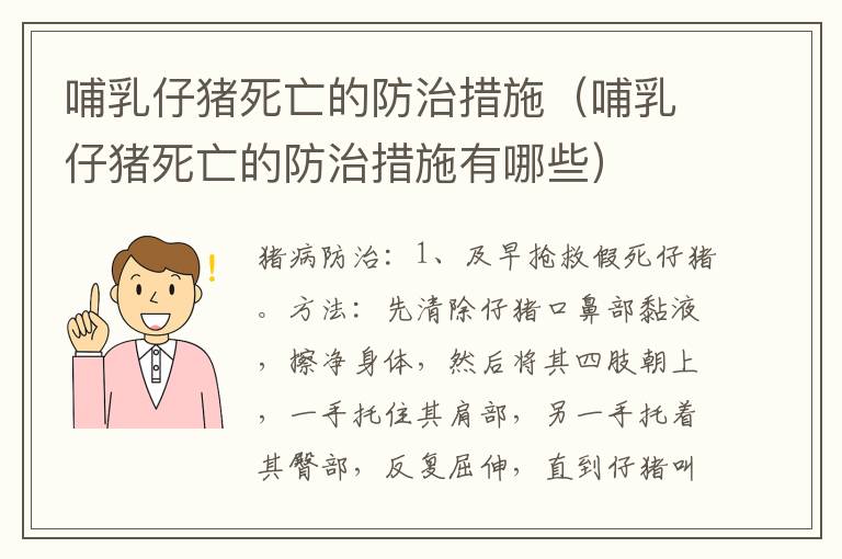 哺乳仔猪死亡的防治措施（哺乳仔猪死亡的防治措施有哪些）