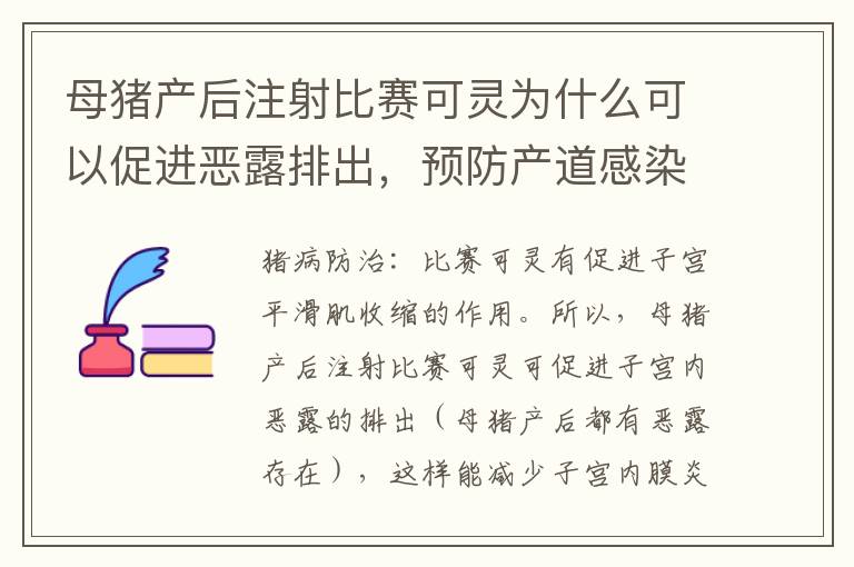 母猪产后注射比赛可灵为什么可以促进恶露排出，预防产道感染？