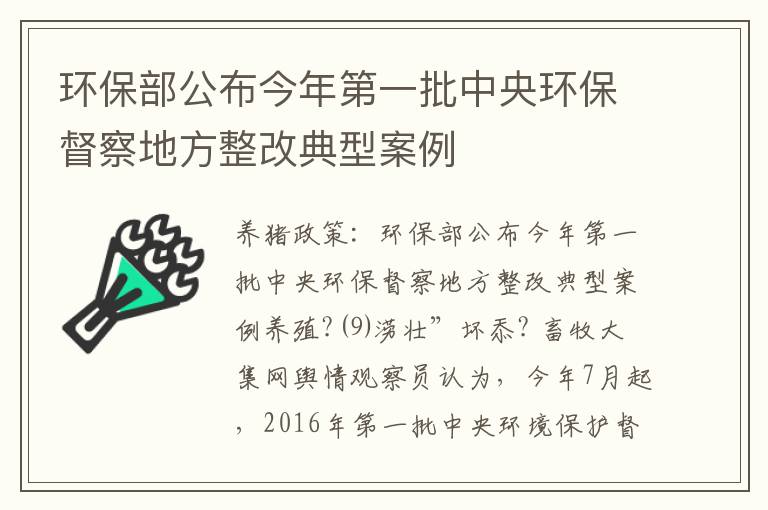 环保部公布今年第一批中央环保督察地方整改典型案例