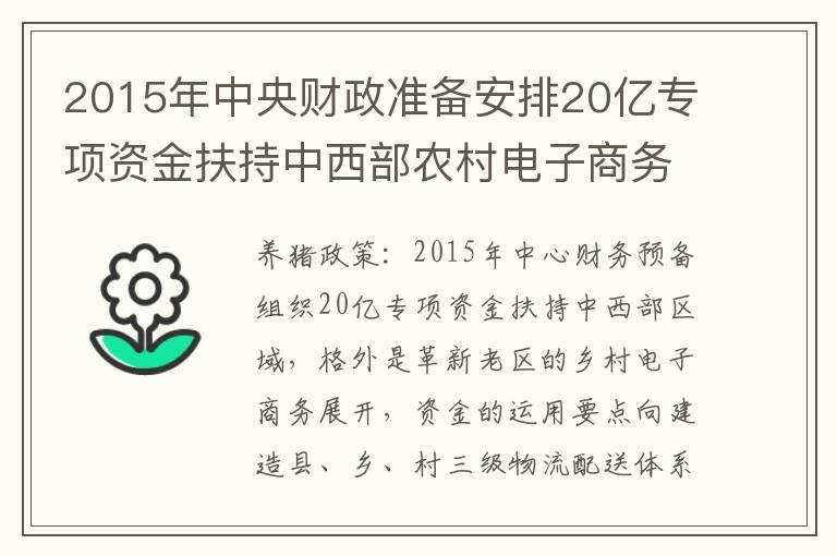 2015年中央财政准备安排20亿专项资金扶持中西部农村电子商务发展