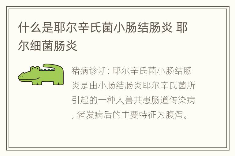 什么是耶尔辛氏菌小肠结肠炎 耶尔细菌肠炎