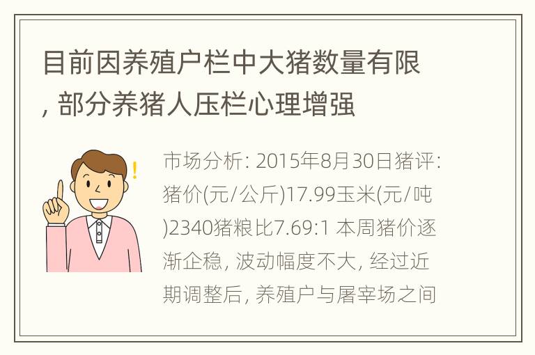 目前因养殖户栏中大猪数量有限，部分养猪人压栏心理增强