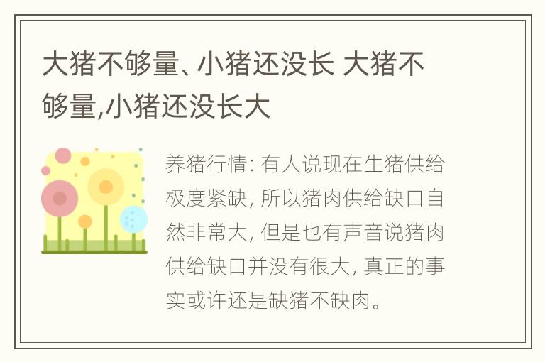 大猪不够量、小猪还没长 大猪不够量,小猪还没长大