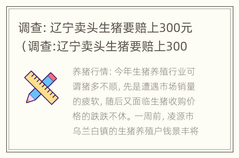 调查：辽宁卖头生猪要赔上300元（调查:辽宁卖头生猪要赔上300元吗）