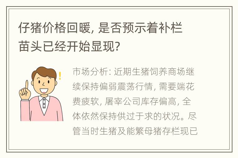 仔猪价格回暖，是否预示着补栏苗头已经开始显现?