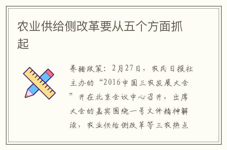 农业供给侧改革要从五个方面抓起