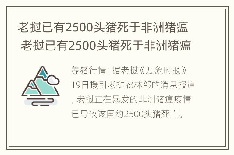 老挝已有2500头猪死于非洲猪瘟 老挝已有2500头猪死于非洲猪瘟