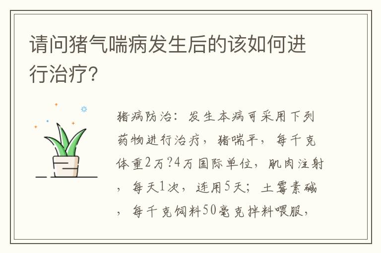 请问猪气喘病发生后的该如何进行治疗？