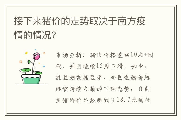 接下来猪价的走势取决于南方疫情的情况？