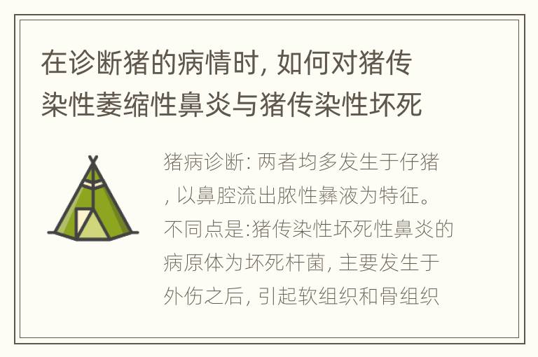 在诊断猪的病情时，如何对猪传染性萎缩性鼻炎与猪传染性坏死性鼻