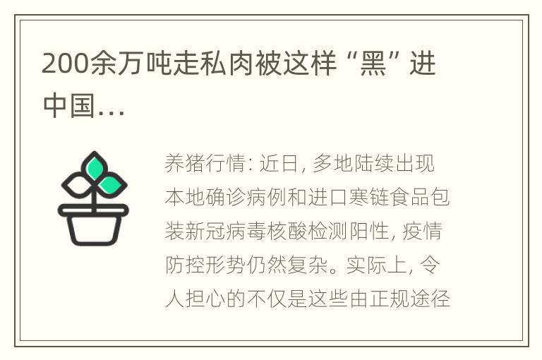 200余万吨走私肉被这样“黑”进中国…