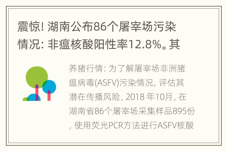 震惊！湖南公布86个屠宰场污染情况：非瘟核酸阳性率12.8%。其他